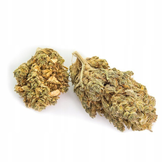 Susz Konopny Premium Blue Cheese 6% CBD 1g