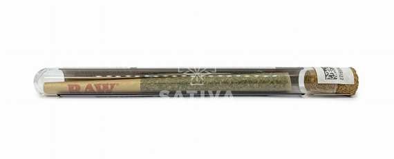 Pre-Rolls OG Kush <10% CBD ~0,5g