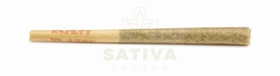 CBD Kwiaty Konopi ”Berry Haze” Pree-Rolls 3-PACK